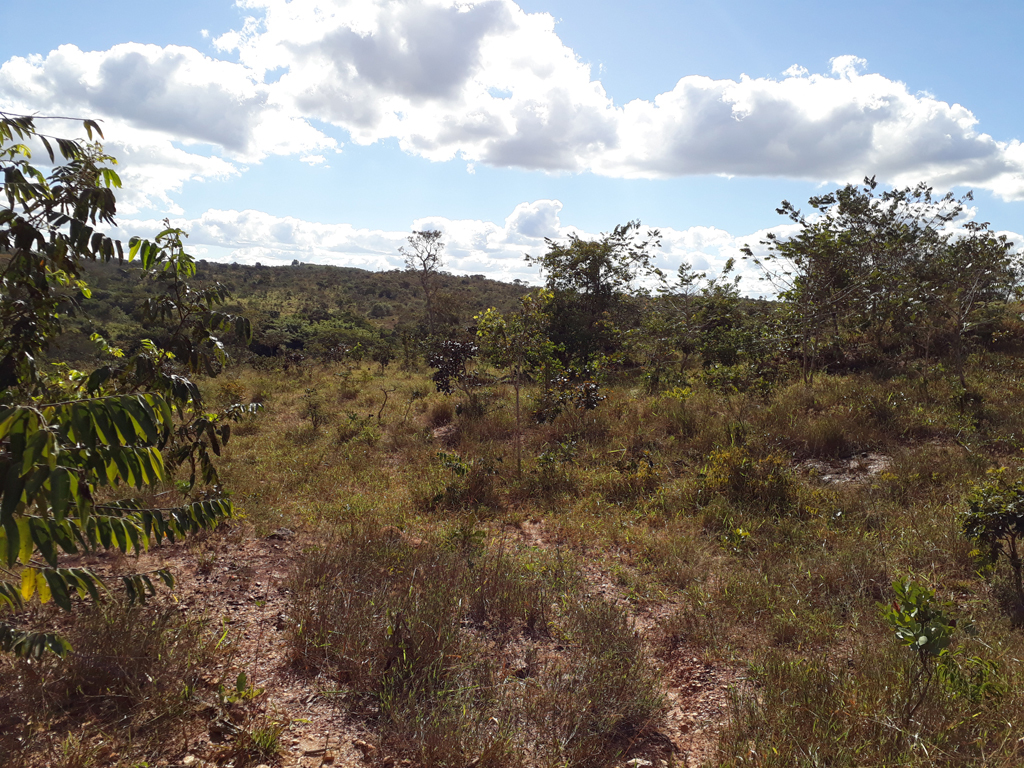 Visão geral - general view