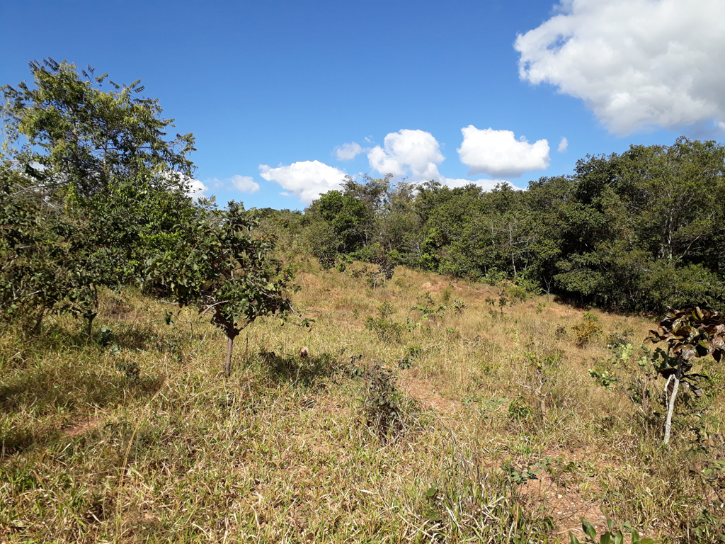 Visão leste - east view