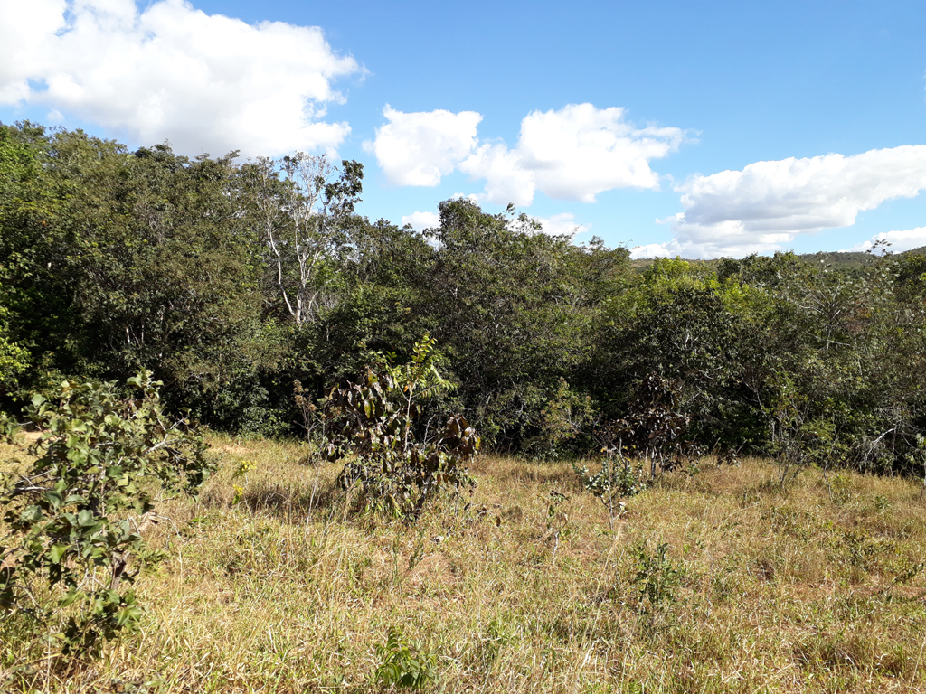 Visão sul - south view