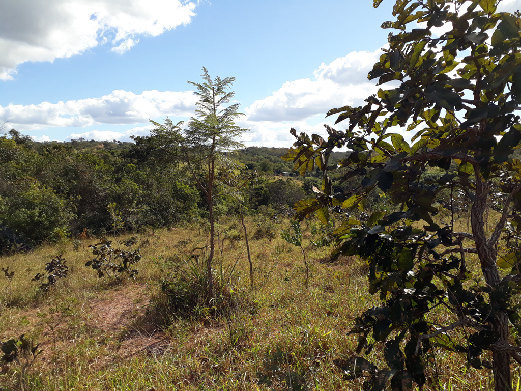 Visão oeste - west view