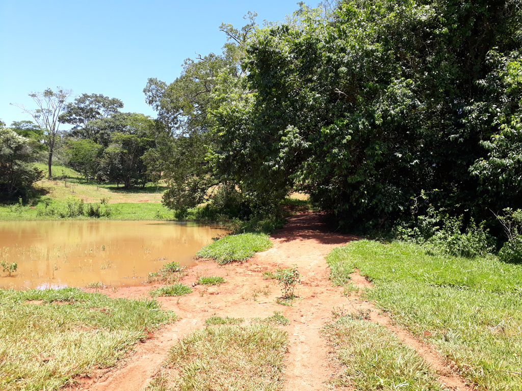 Caminhada até a confluência - hiking up to the confluence