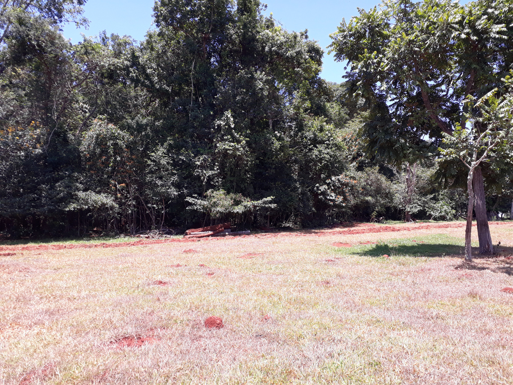 Visão geral, confluência dentro da mata - general view, confluence inside the forest