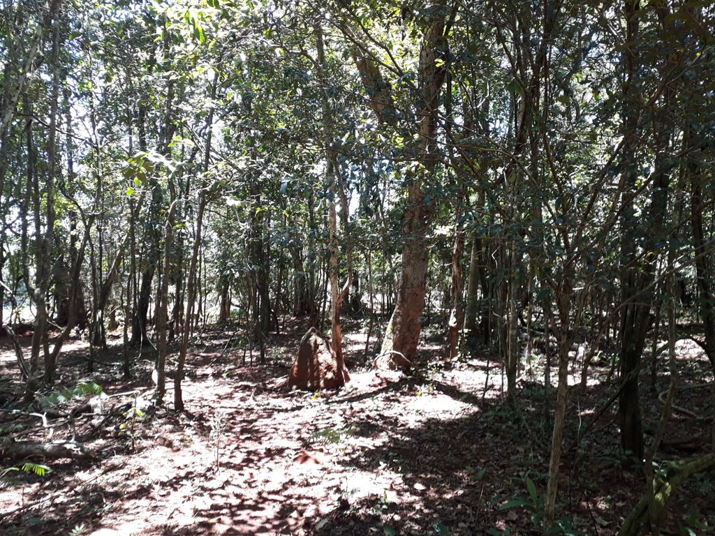 Visão norte - north view