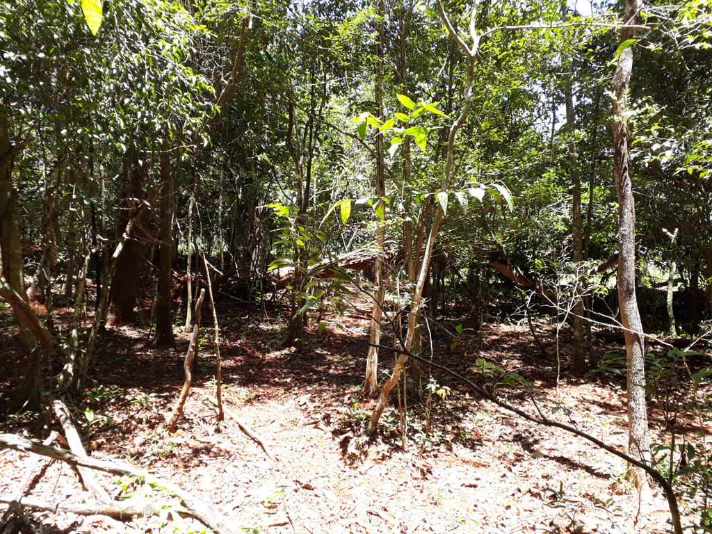 Visão sul - south view