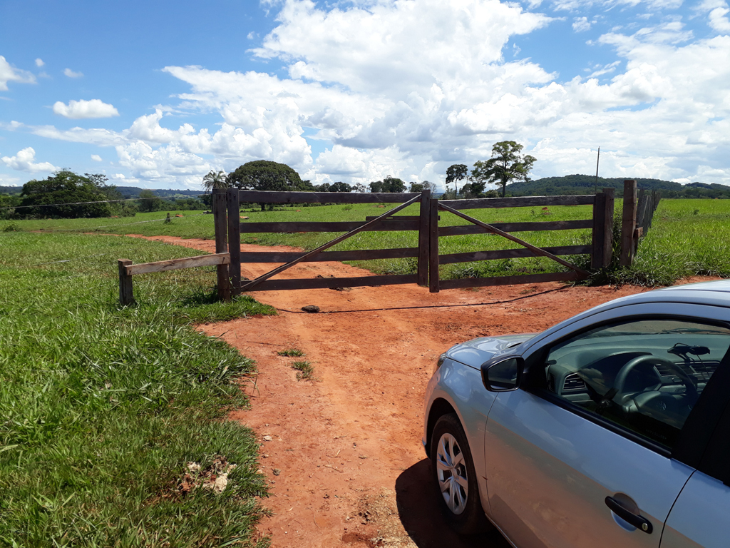 Porteira no caminho - gate in the way