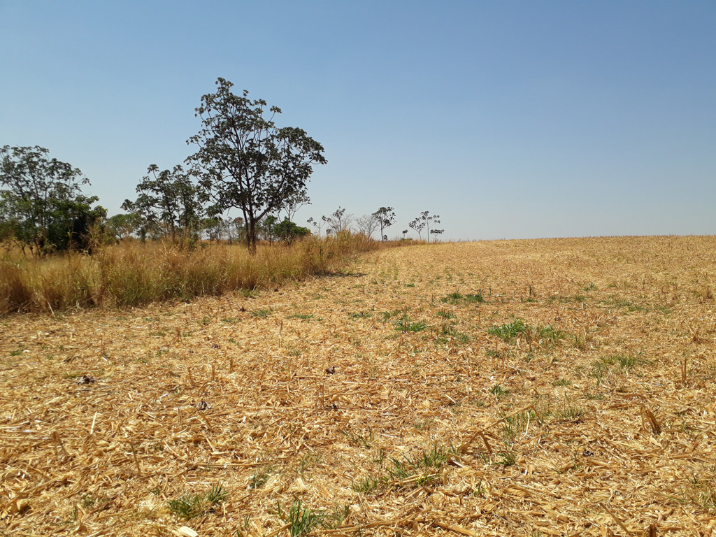 Visão geral – general view