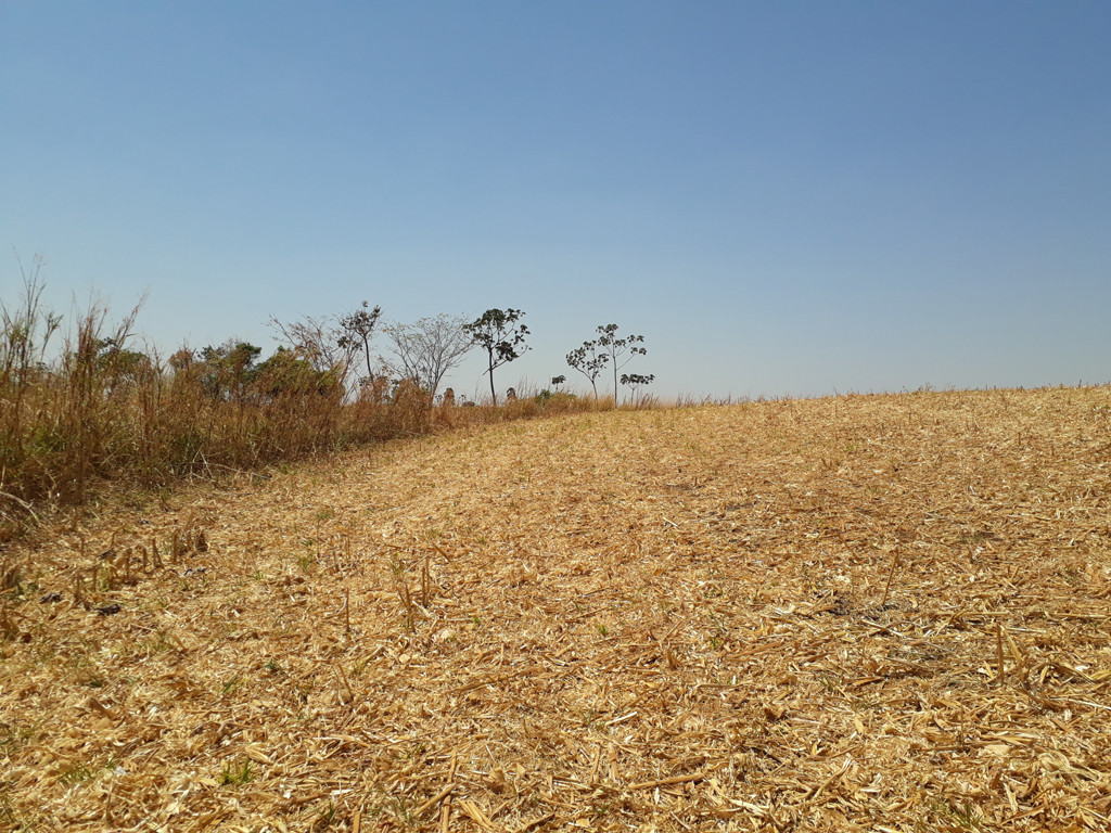 Visão leste – east view