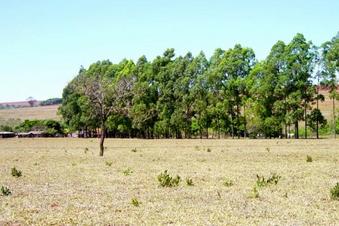 #1: área da confluência/confluence area