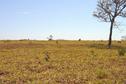 #2: vista norte da confluência/from confluence facing north