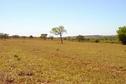 #3: vista leste da confluência/from confluence facing east