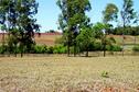 #4: vista sul da confluência/from confluence facing south