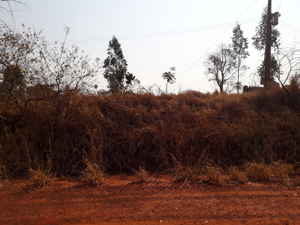 Visão oeste – west view