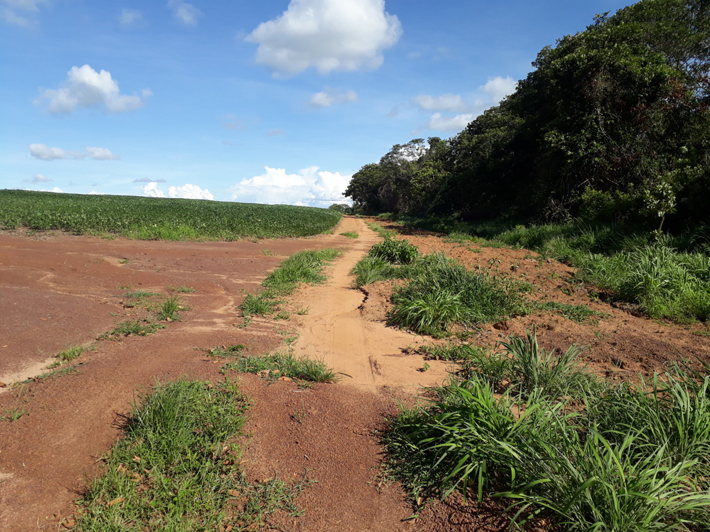 Caminhada até a confluência - hiking to the confluence