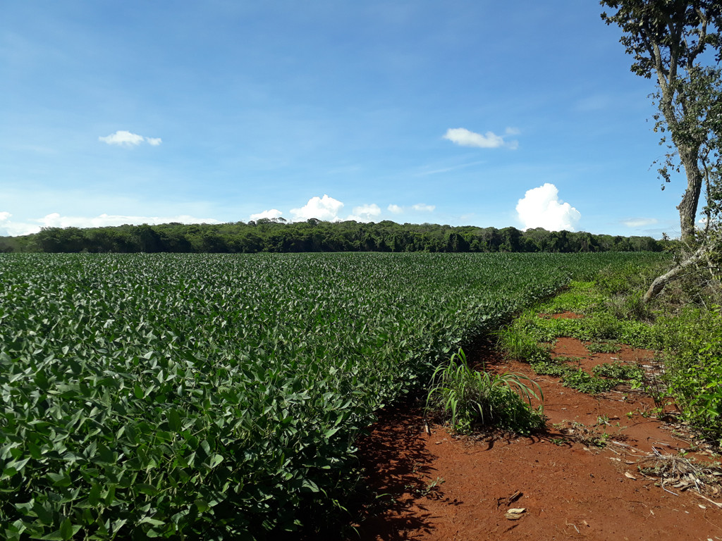 Visão norte - north view