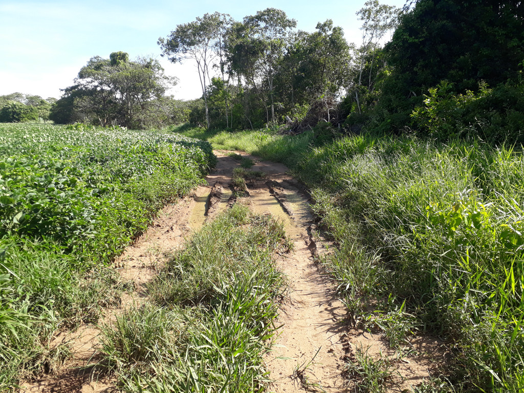 Caminhada até a confluência - hiking to the confluence