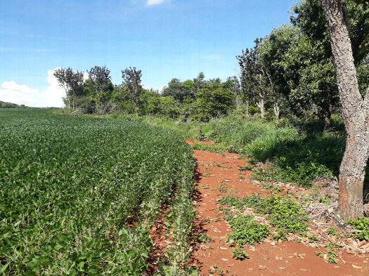 #1: Visão geral - general view