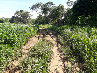 #9: Caminhada até a confluência - hiking to the confluence