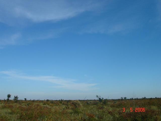 View of confluence area