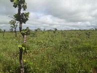 #3: Visão norte - north view