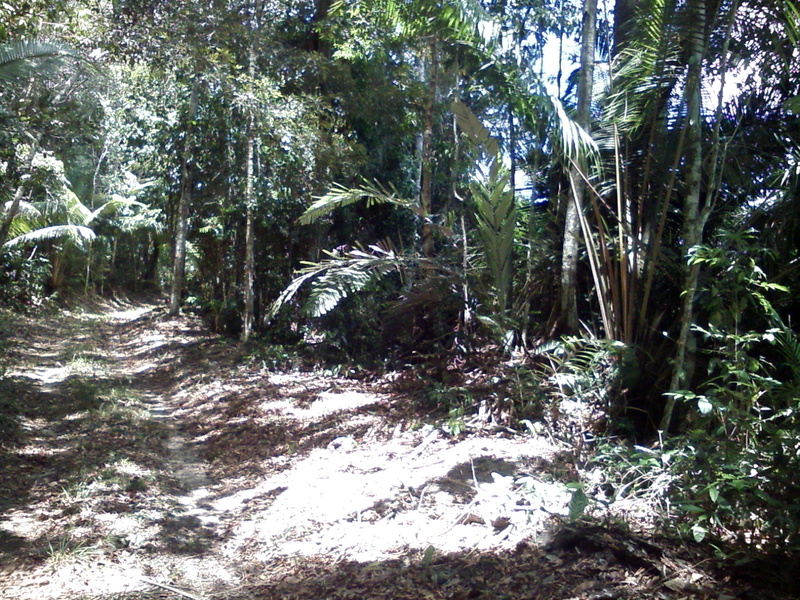 Visão norte - north view