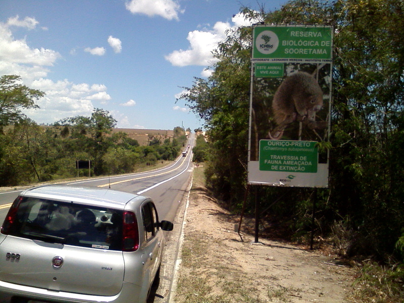 Parei o carro a 450 metros do ponto exato - I stopped the car 450 meters to the exact point