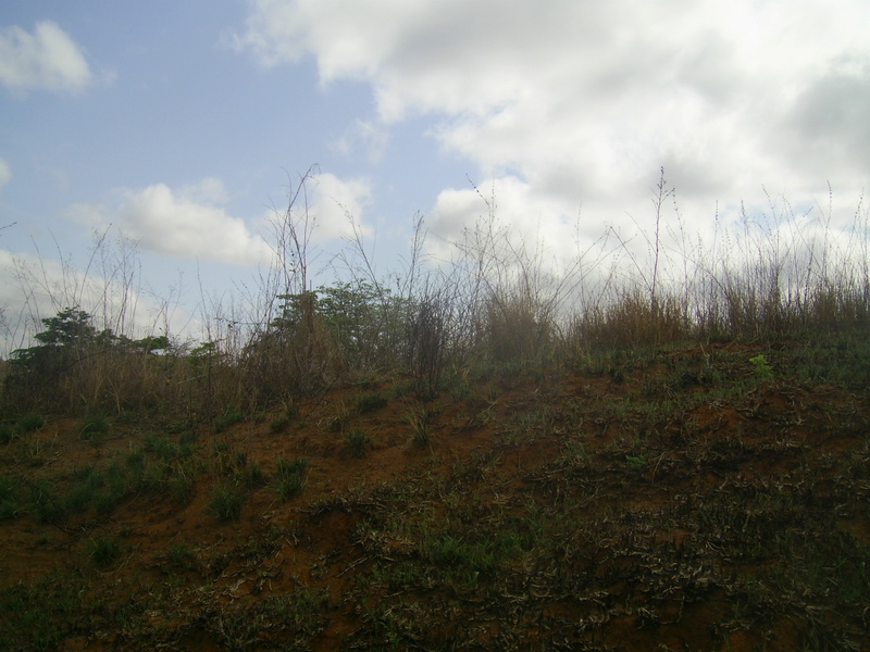 Visão leste - east view