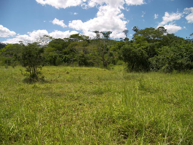 Vista para o Norte.