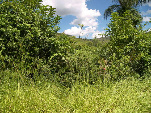 Vista para o Sul.