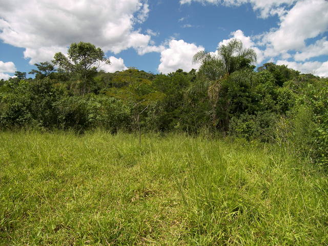 Vista para o Leste.