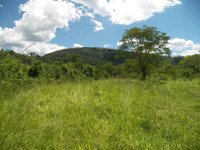 Vista para o Oeste.