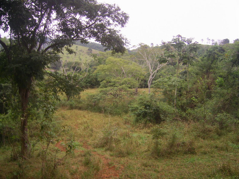 Visão geral - general view