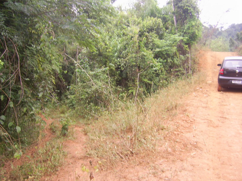 Trilha de acesso a 173 metros da confluência - track 173 meters close to the confluence