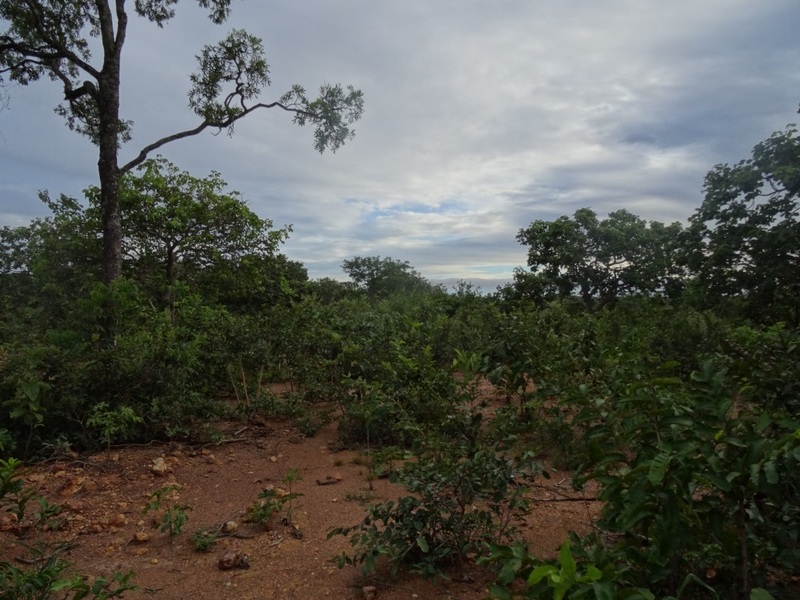 Vista Norte. North view