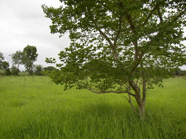 Vista para o Sul