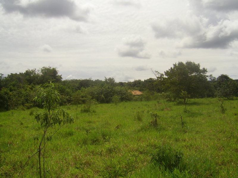 Visão geral - general view