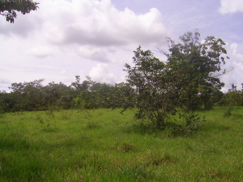 Visão leste - east view