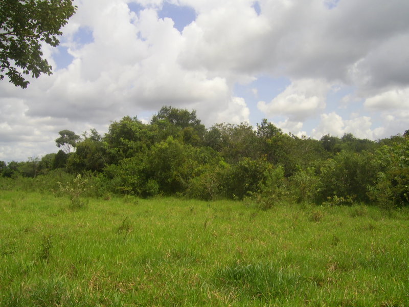 Visão oeste - west view