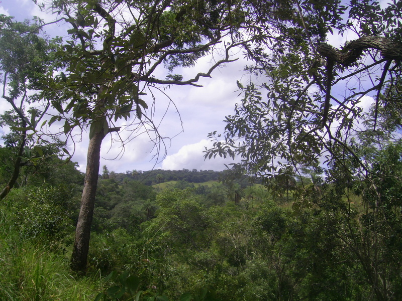 Visão norte - north view