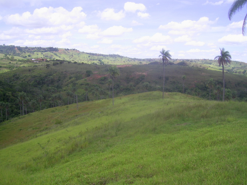 Confluência no fundo do vale, 360 metros adiante - confluence in the bottom of the valley, 360 meters ahead