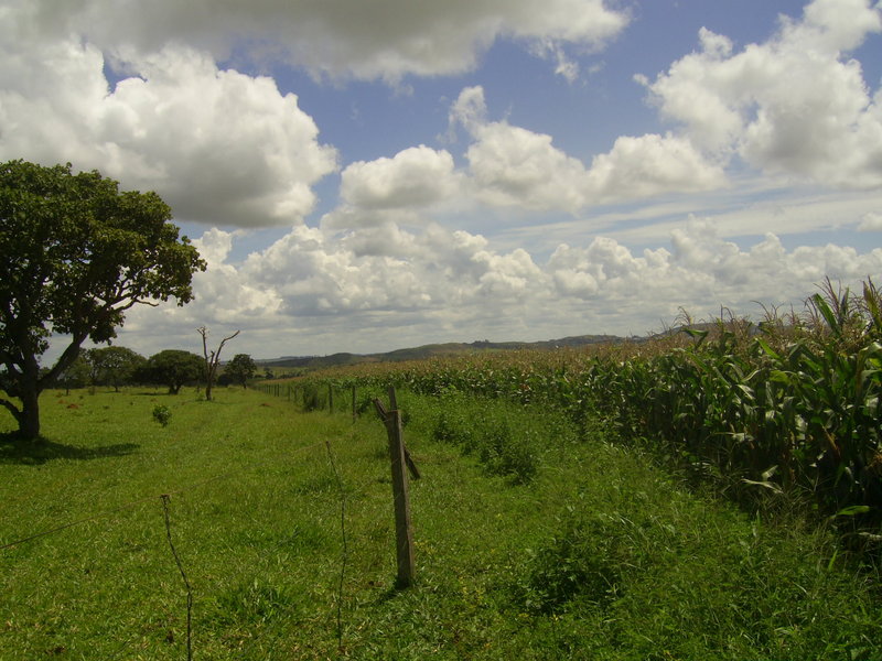 Visão geral - general view