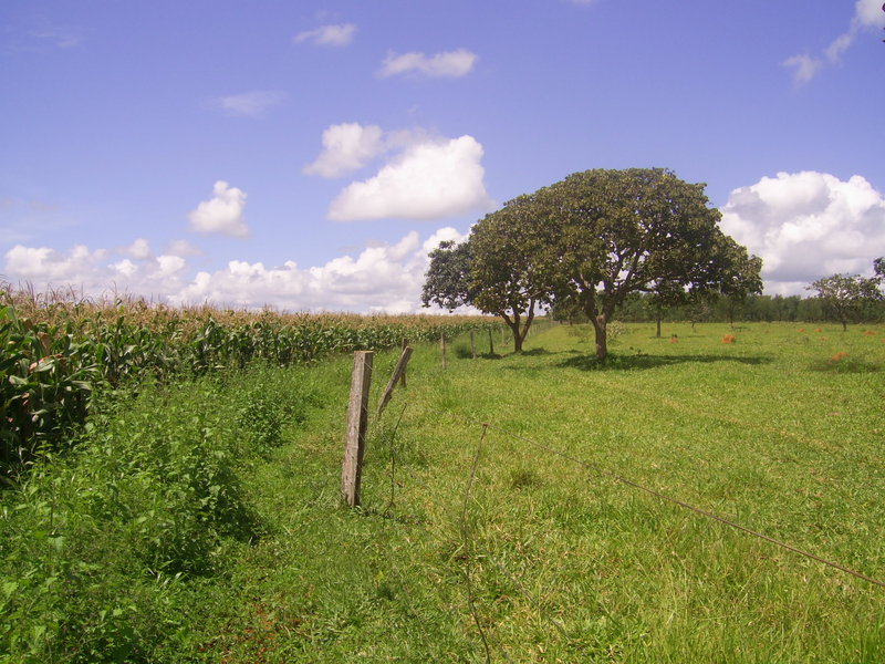 Visão sul - south view