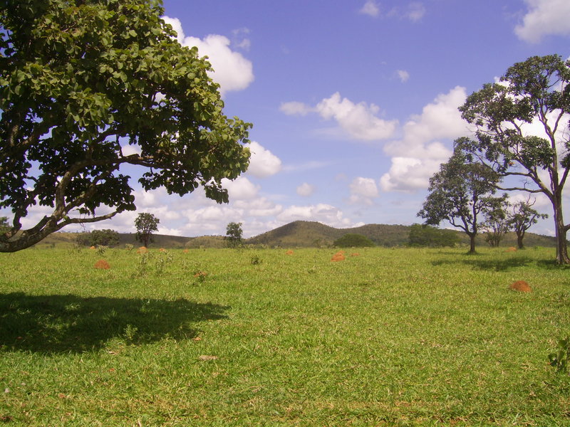 Visão oeste - west view