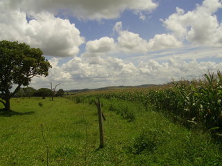 #1: Visão geral - general view