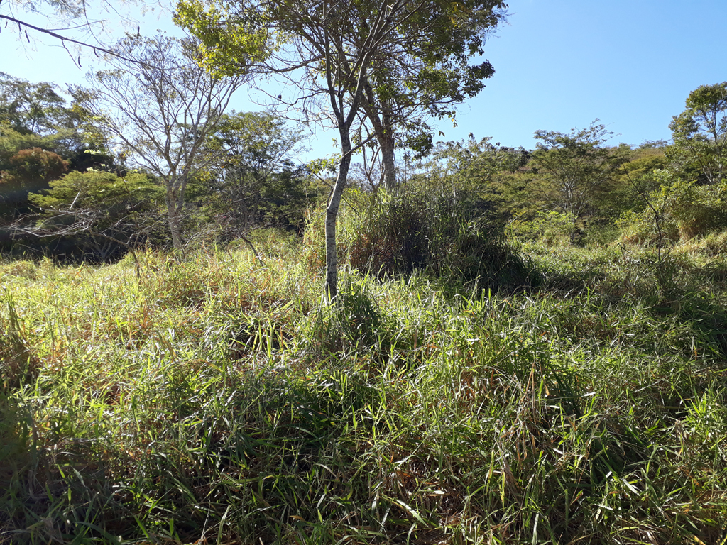 Visão leste - east view