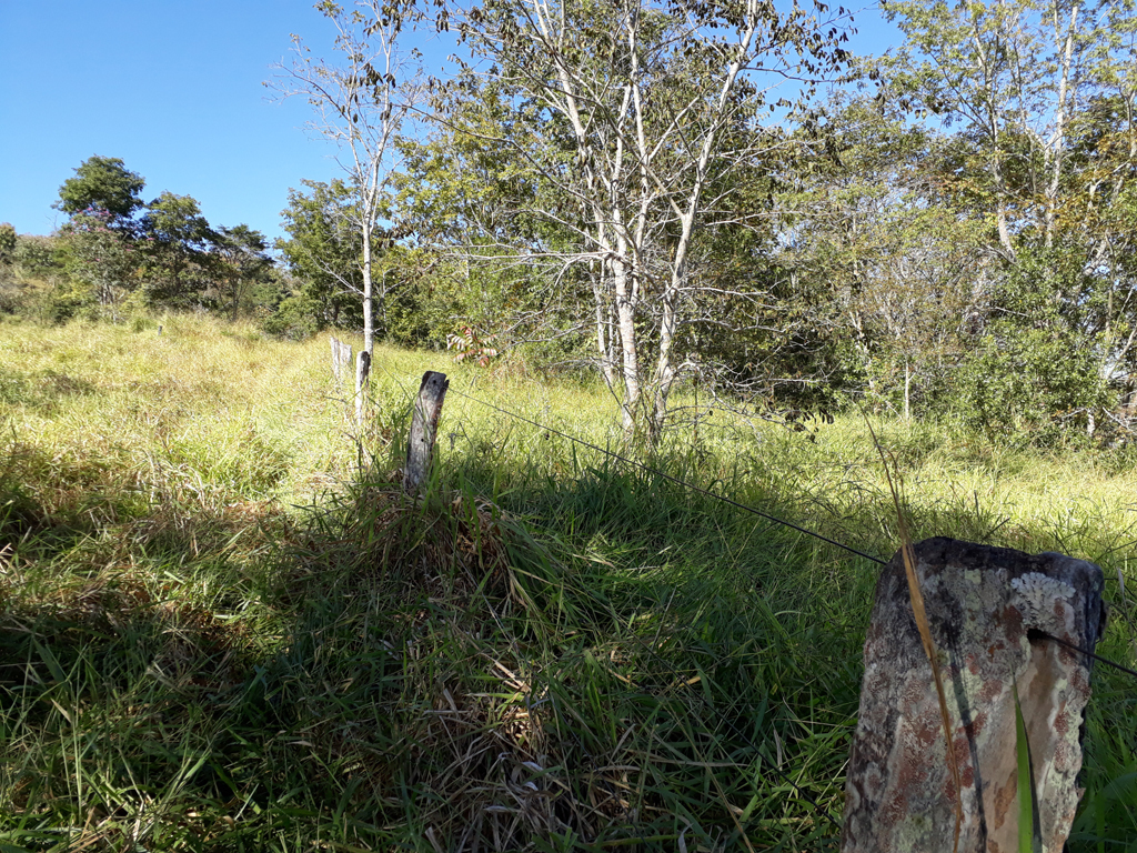 Visão sul - south view