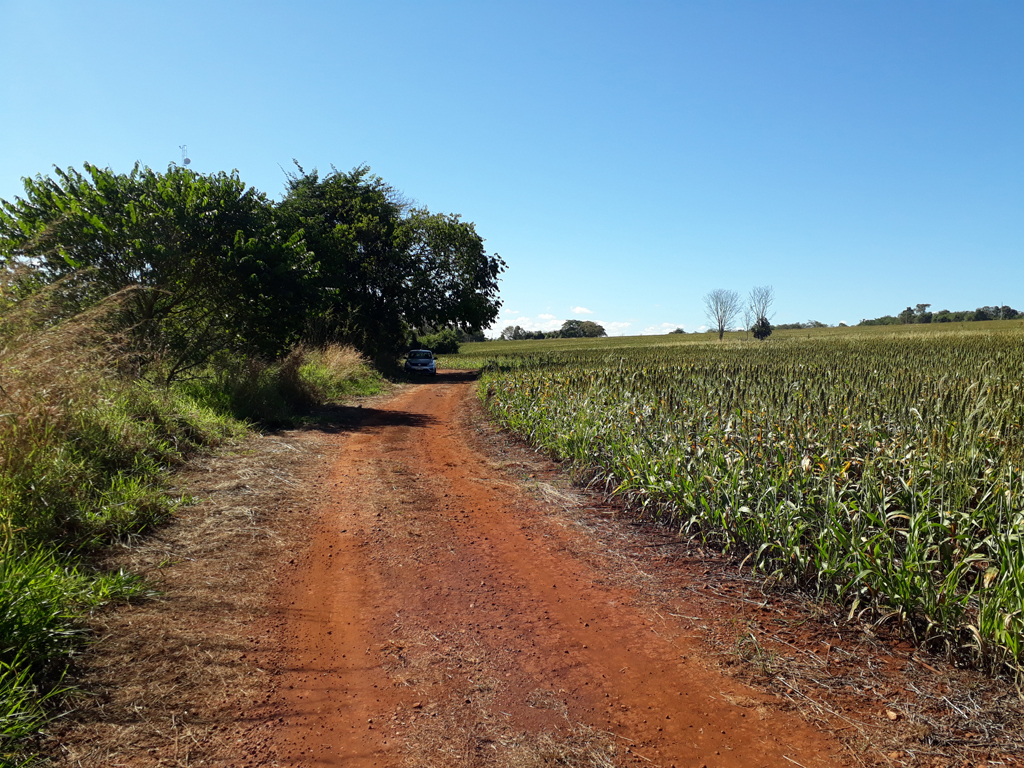 Parei o carro a 600 metros da confluência - I stopped the car 600 meters to the confluence