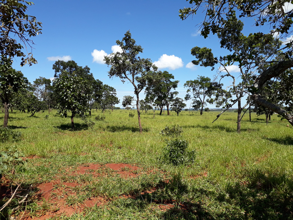 Visão oeste - west view