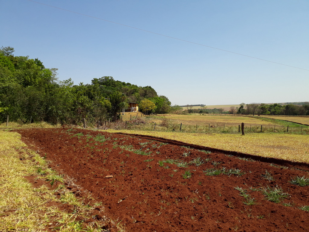 Visão geral – general view