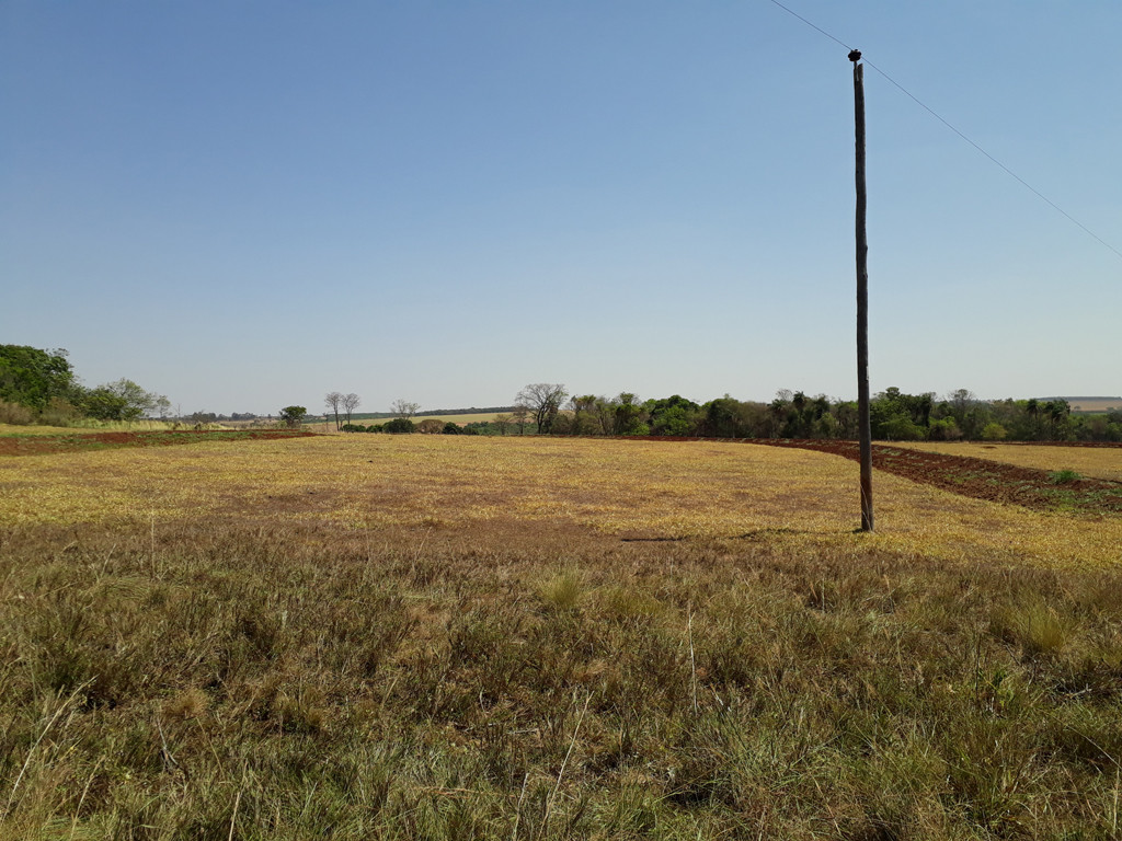 Visão oeste – west view