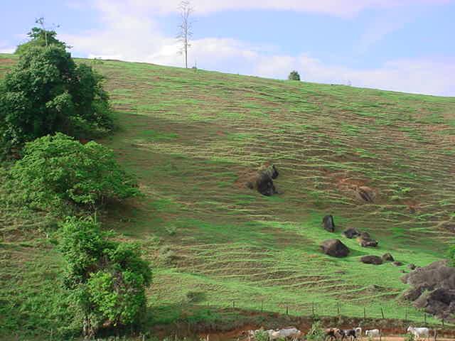 Serra Pelada - Center area